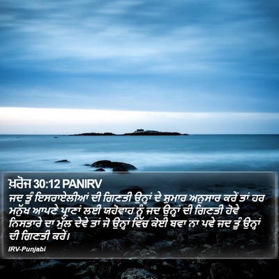 ਖ਼ਰੋਜ 30:12 PANIRV Bible Verse Image