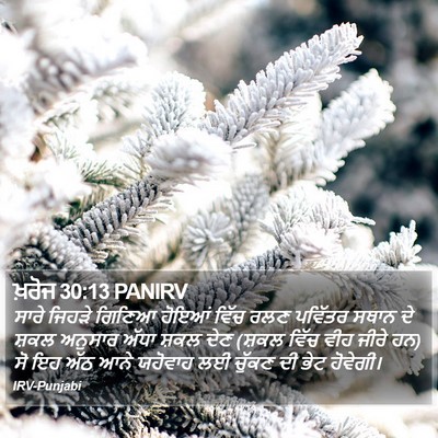 ਖ਼ਰੋਜ 30:13 PANIRV Bible Verse Image