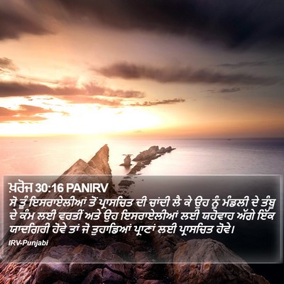 ਖ਼ਰੋਜ 30:16 PANIRV Bible Verse Image