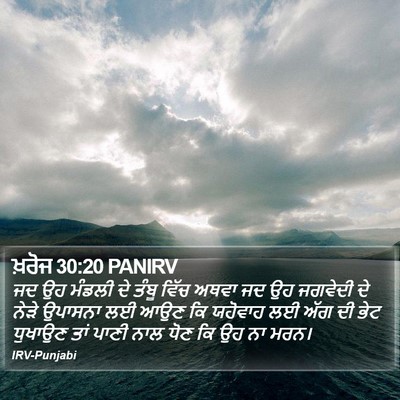 ਖ਼ਰੋਜ 30:20 PANIRV Bible Verse Image