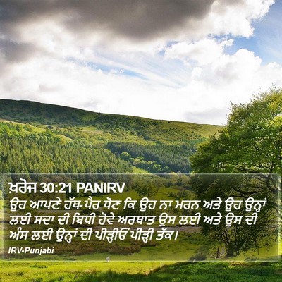 ਖ਼ਰੋਜ 30:21 PANIRV Bible Verse Image