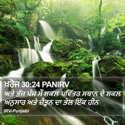 ਖ਼ਰੋਜ 30:24 PANIRV Bible Verse Image