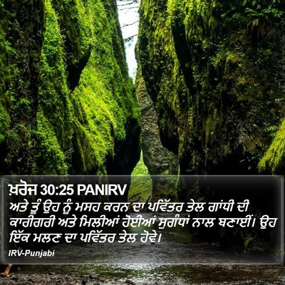 ਖ਼ਰੋਜ 30:25 PANIRV Bible Verse Image