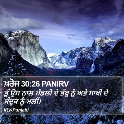 ਖ਼ਰੋਜ 30:26 PANIRV Bible Verse Image