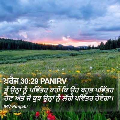 ਖ਼ਰੋਜ 30:29 PANIRV Bible Verse Image