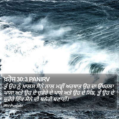 ਖ਼ਰੋਜ 30:3 PANIRV Bible Verse Image