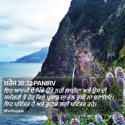 ਖ਼ਰੋਜ 30:32 PANIRV Bible Verse Image