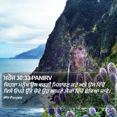 ਖ਼ਰੋਜ 30:33 PANIRV Bible Verse Image