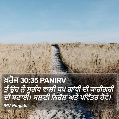 ਖ਼ਰੋਜ 30:35 PANIRV Bible Verse Image