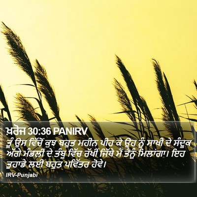 ਖ਼ਰੋਜ 30:36 PANIRV Bible Verse Image