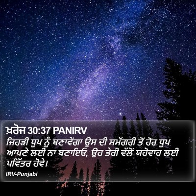ਖ਼ਰੋਜ 30:37 PANIRV Bible Verse Image