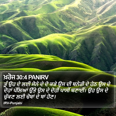 ਖ਼ਰੋਜ 30:4 PANIRV Bible Verse Image