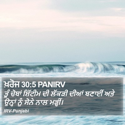 ਖ਼ਰੋਜ 30:5 PANIRV Bible Verse Image