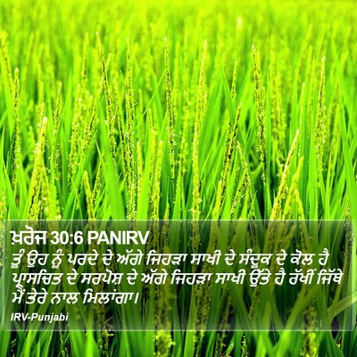ਖ਼ਰੋਜ 30:6 PANIRV Bible Verse Image