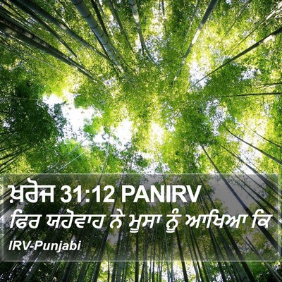 ਖ਼ਰੋਜ 31:12 PANIRV Bible Verse Image