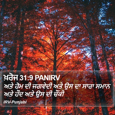 ਖ਼ਰੋਜ 31:9 PANIRV Bible Verse Image