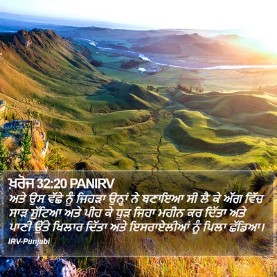 ਖ਼ਰੋਜ 32:20 PANIRV Bible Verse Image