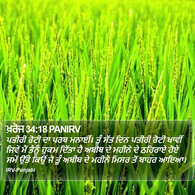 ਖ਼ਰੋਜ 34:18 PANIRV Bible Verse Image