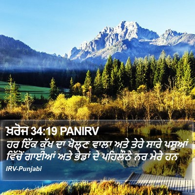 ਖ਼ਰੋਜ 34:19 PANIRV Bible Verse Image