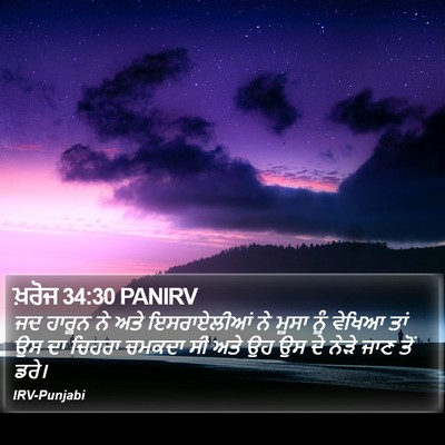 ਖ਼ਰੋਜ 34:30 PANIRV Bible Verse Image