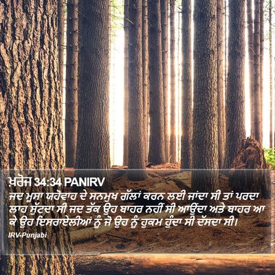 ਖ਼ਰੋਜ 34:34 PANIRV Bible Verse Image