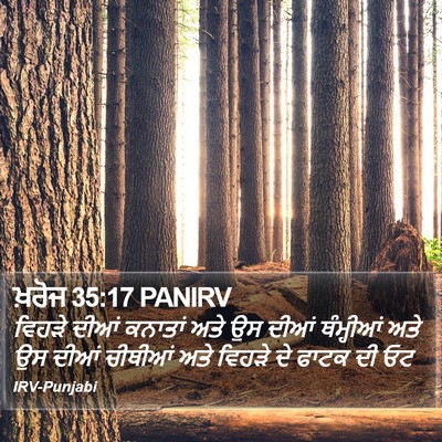 ਖ਼ਰੋਜ 35:17 PANIRV Bible Verse Image