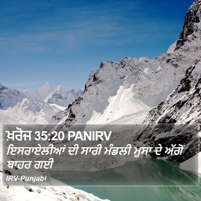 ਖ਼ਰੋਜ 35:20 PANIRV Bible Verse Image
