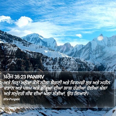 ਖ਼ਰੋਜ 35:23 PANIRV Bible Verse Image