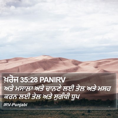 ਖ਼ਰੋਜ 35:28 PANIRV Bible Verse Image