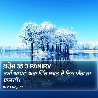 ਖ਼ਰੋਜ 35:3 PANIRV Bible Verse Image