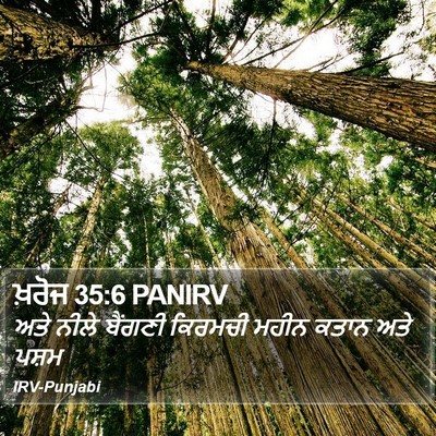 ਖ਼ਰੋਜ 35:6 PANIRV Bible Verse Image