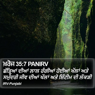 ਖ਼ਰੋਜ 35:7 PANIRV Bible Verse Image