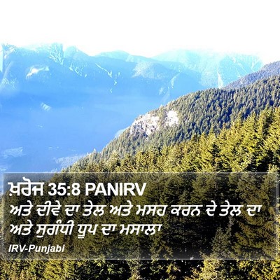 ਖ਼ਰੋਜ 35:8 PANIRV Bible Verse Image