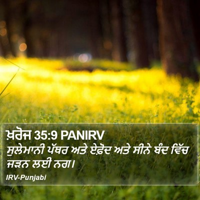 ਖ਼ਰੋਜ 35:9 PANIRV Bible Verse Image