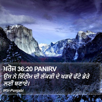 ਖ਼ਰੋਜ 36:20 PANIRV Bible Verse Image