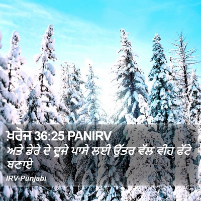 ਖ਼ਰੋਜ 36:25 PANIRV Bible Verse Image