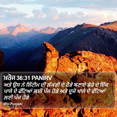 ਖ਼ਰੋਜ 36:31 PANIRV Bible Verse Image