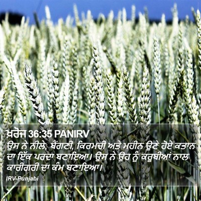 ਖ਼ਰੋਜ 36:35 PANIRV Bible Verse Image