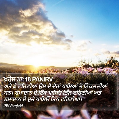 ਖ਼ਰੋਜ 37:18 PANIRV Bible Verse Image