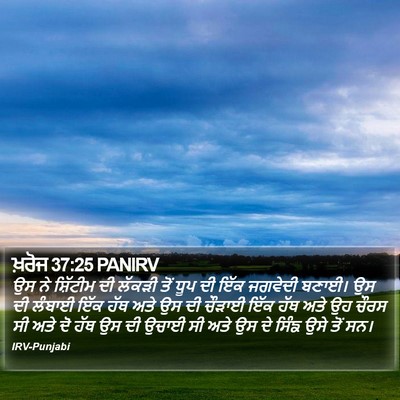 ਖ਼ਰੋਜ 37:25 PANIRV Bible Verse Image