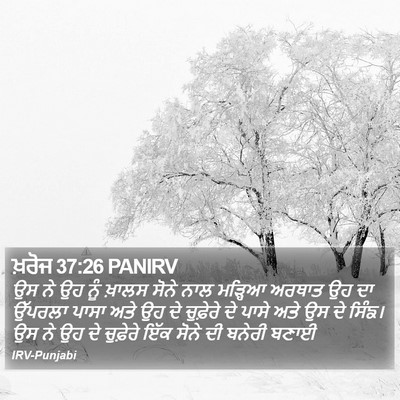 ਖ਼ਰੋਜ 37:26 PANIRV Bible Verse Image