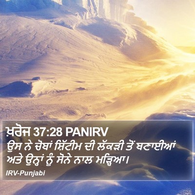ਖ਼ਰੋਜ 37:28 PANIRV Bible Verse Image
