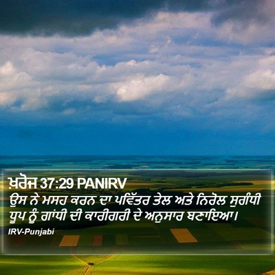 ਖ਼ਰੋਜ 37:29 PANIRV Bible Verse Image