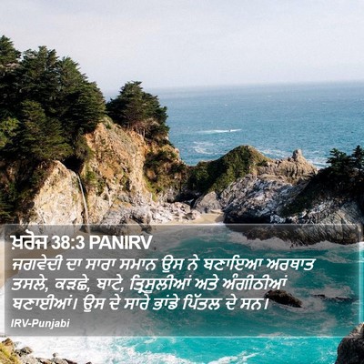 ਖ਼ਰੋਜ 38:3 PANIRV Bible Verse Image