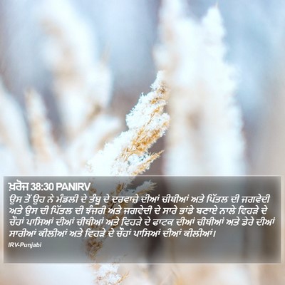 ਖ਼ਰੋਜ 38:30 PANIRV Bible Verse Image