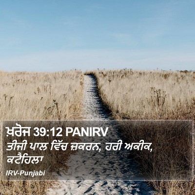 ਖ਼ਰੋਜ 39:12 PANIRV Bible Verse Image