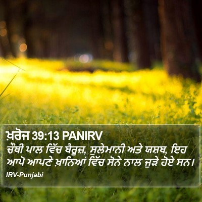 ਖ਼ਰੋਜ 39:13 PANIRV Bible Verse Image