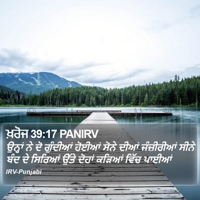 ਖ਼ਰੋਜ 39:17 PANIRV Bible Verse Image