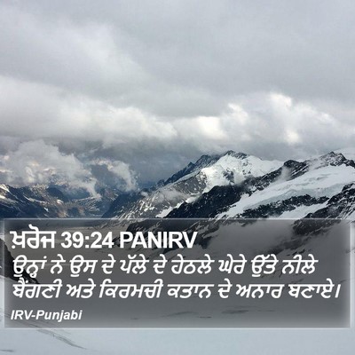 ਖ਼ਰੋਜ 39:24 PANIRV Bible Verse Image