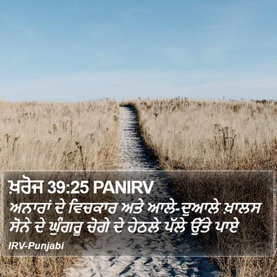 ਖ਼ਰੋਜ 39:25 PANIRV Bible Verse Image